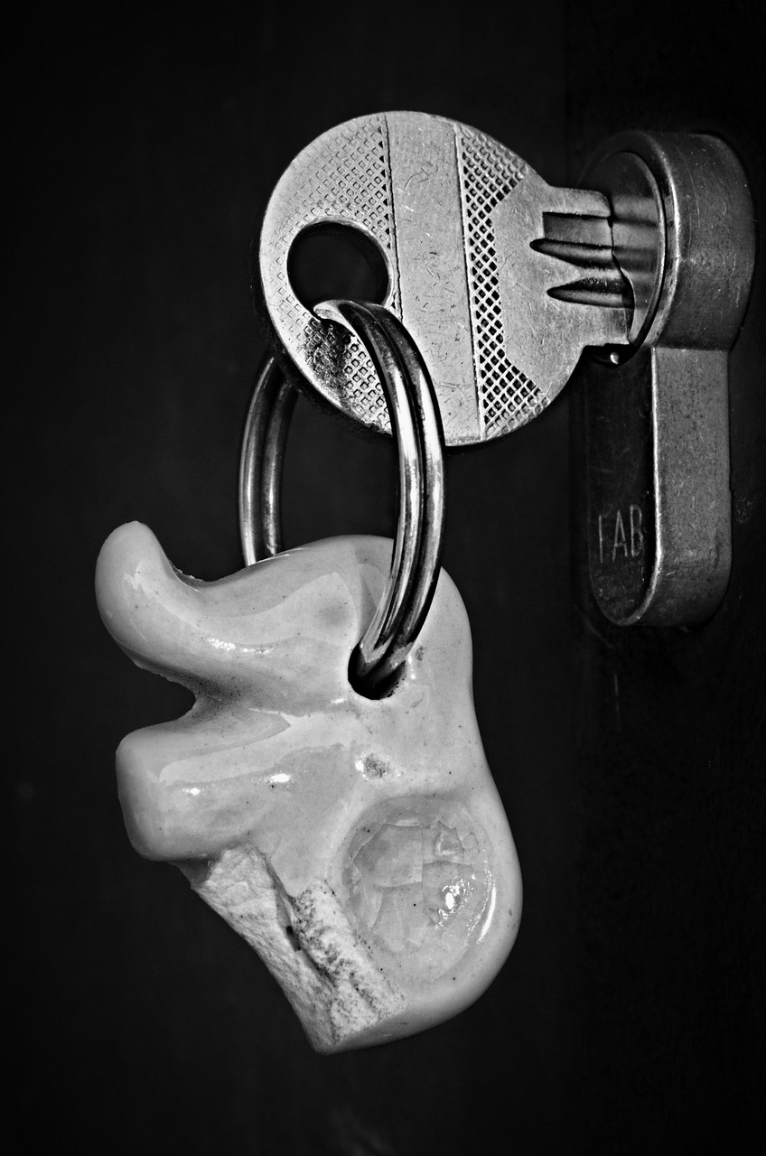 key-621239_1280 Sufletul…