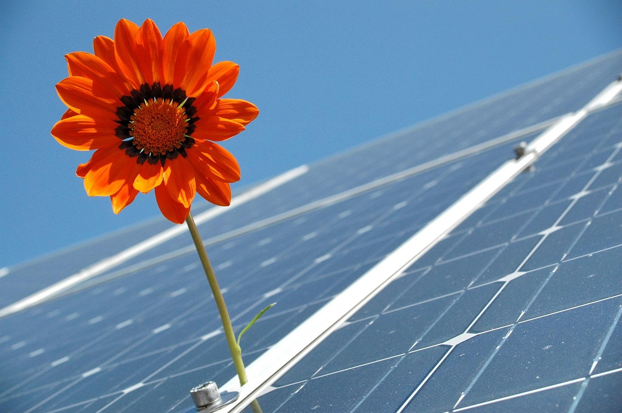 solar-2955323_1280 Viața… bolile…