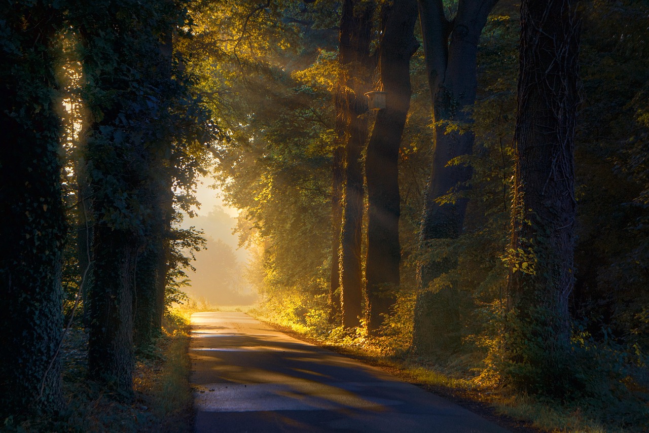 path-7341731_1280 Scopul tău, al fiecăruia…