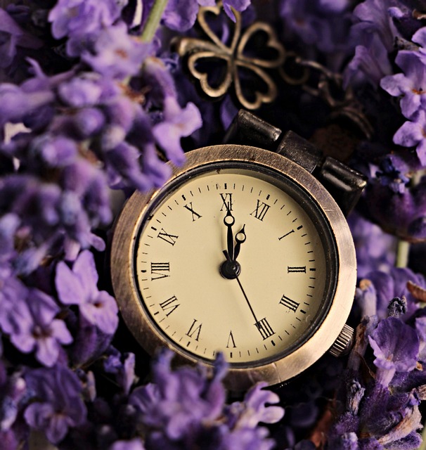 lavender-3467202_640 Momente…